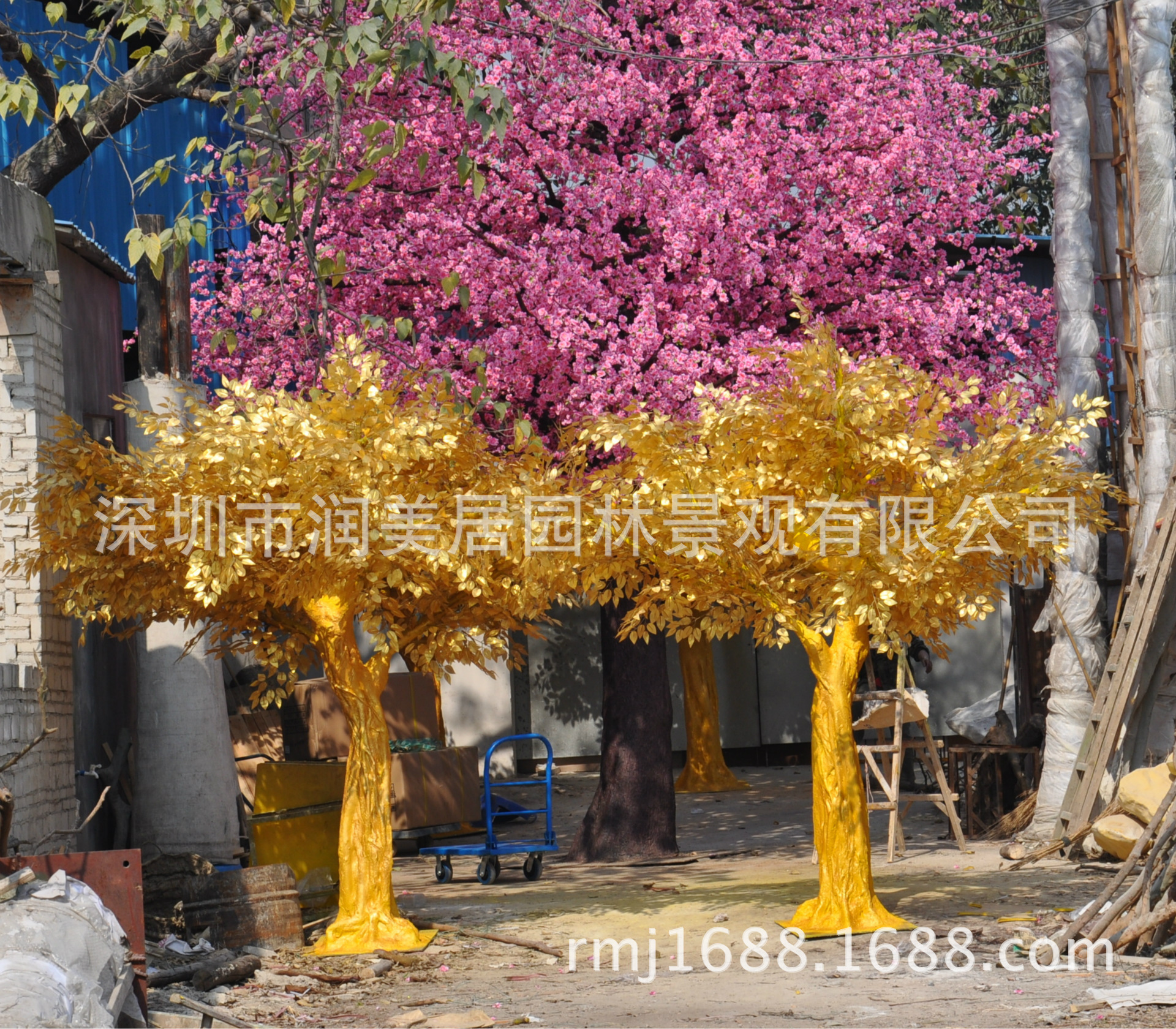 DSC_0584_conew1