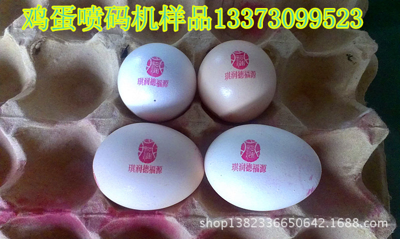 雞蛋樣品4