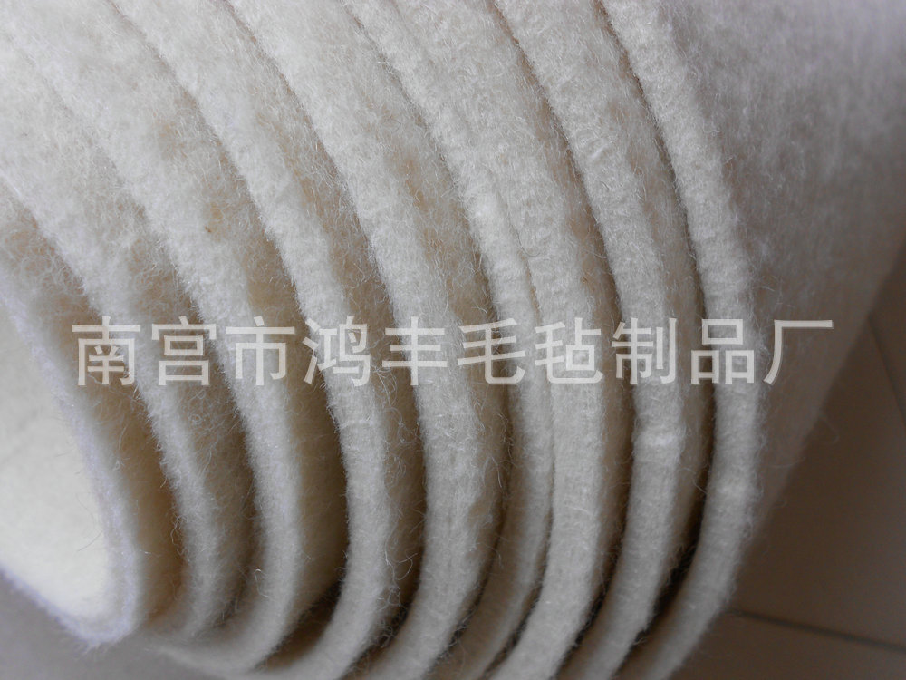 DSCN0970