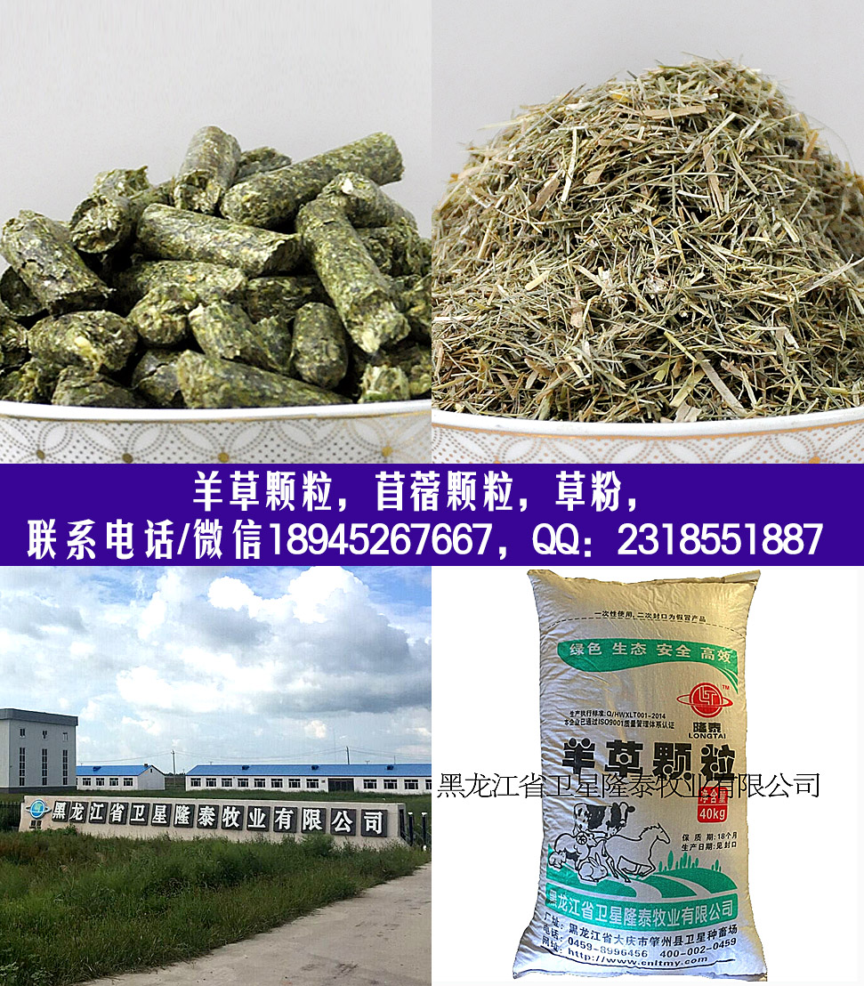 顆粒復合圖.jpg