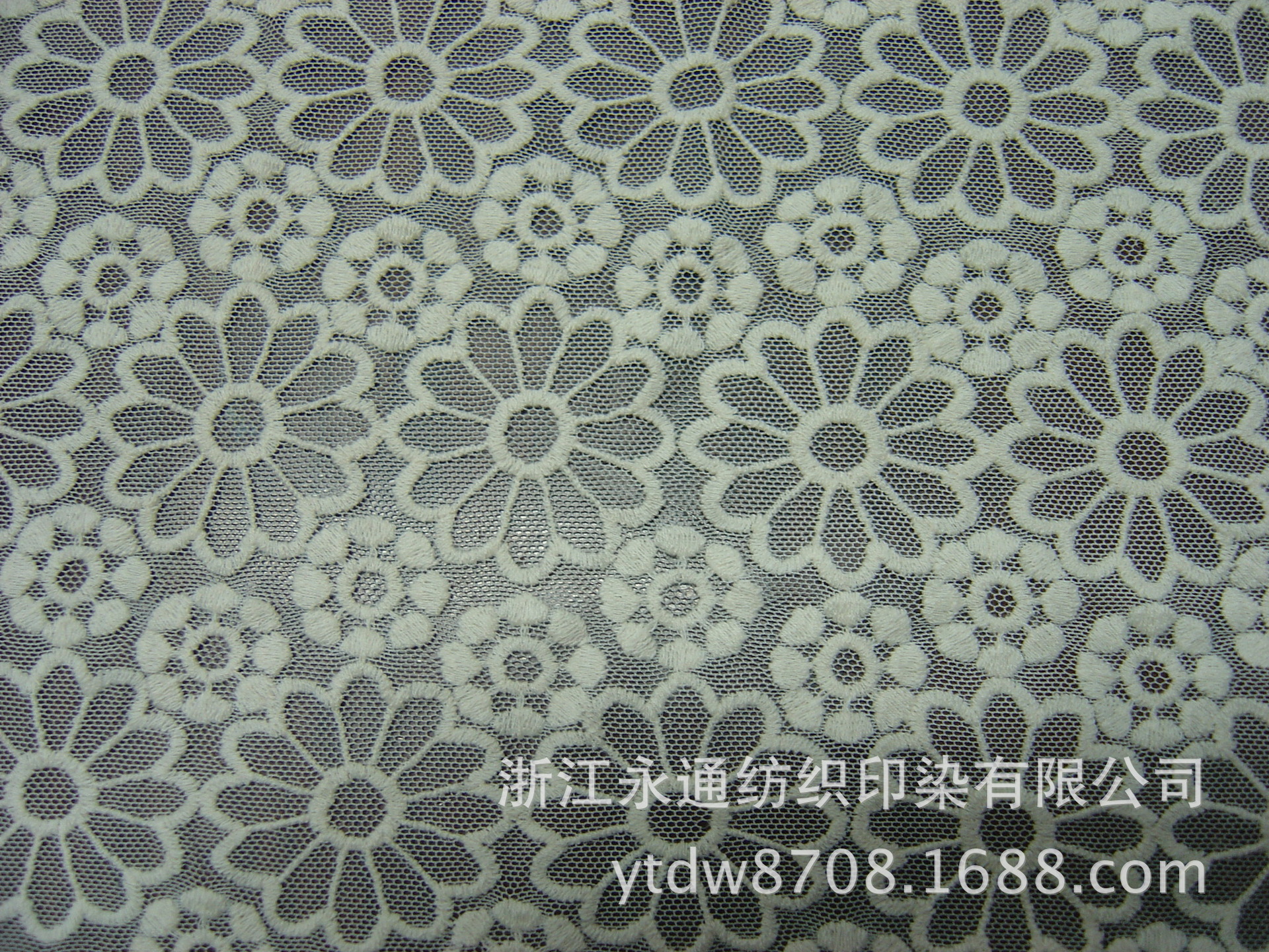 DSC01014