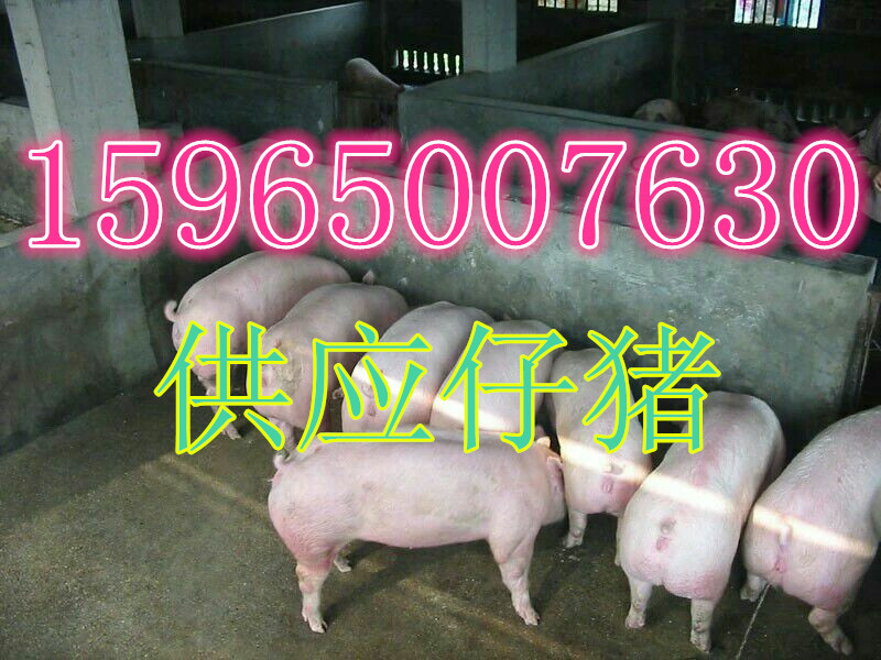1_副本.jpg