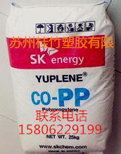 PP 韓國(guó)SK1_副本