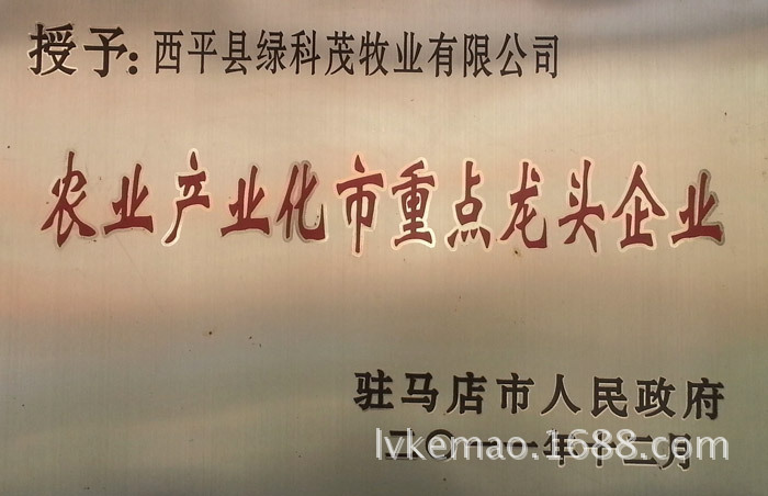 資質證書