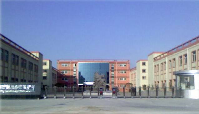 IMG0765A
